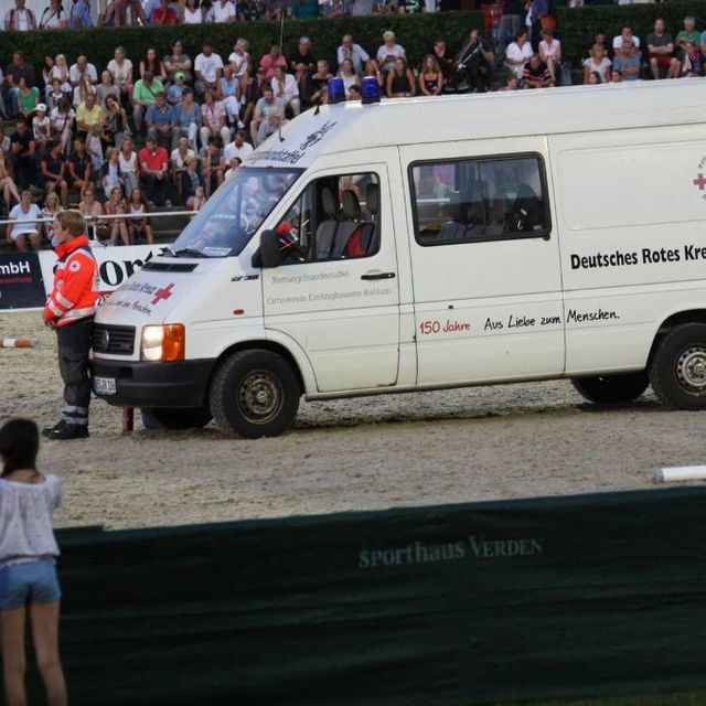 Verden International