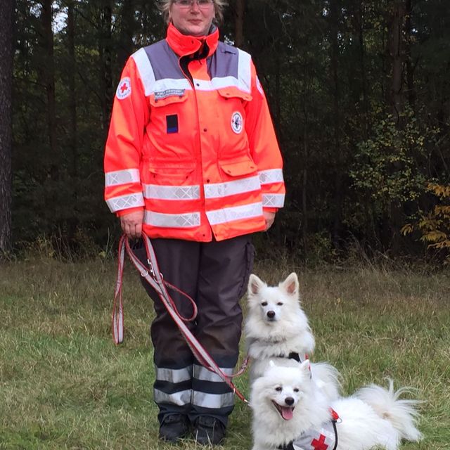 Rettungshundeprüfung in Hannover