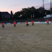 Verden International