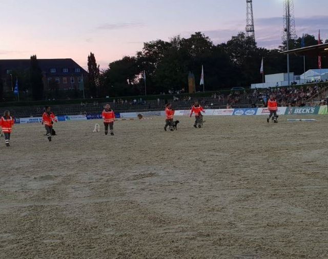Verden International
