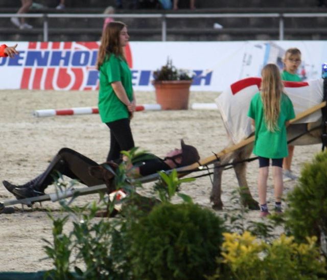 Verden International